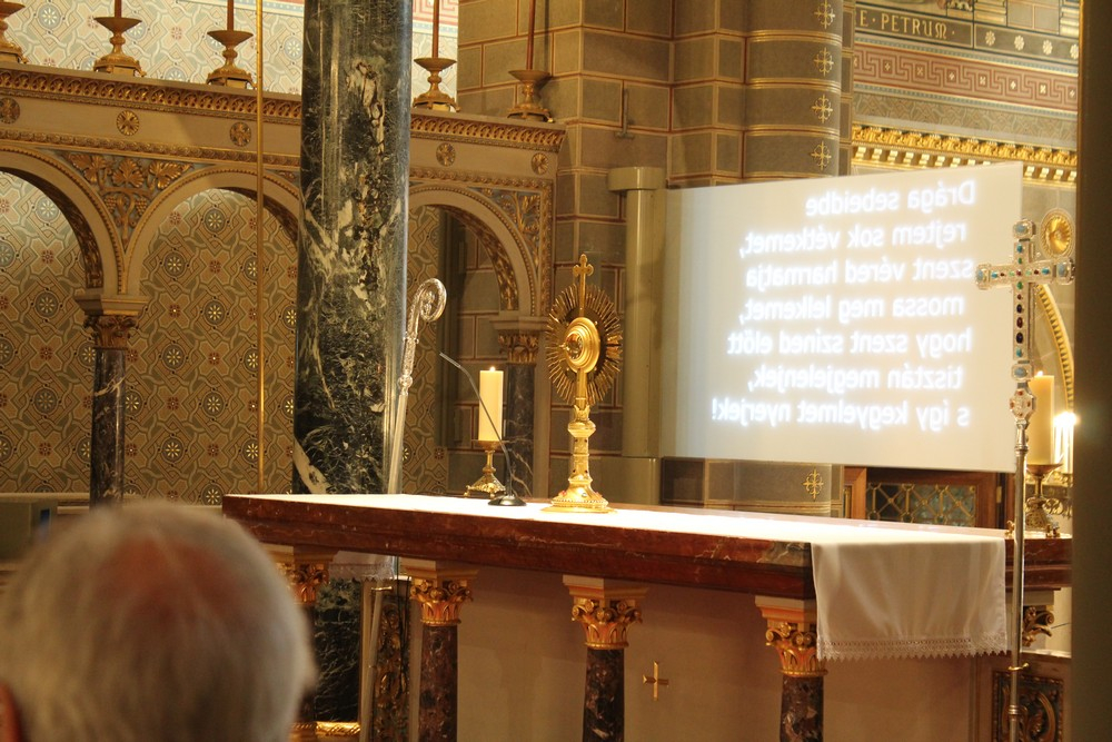 357_Urnapja-2022-064