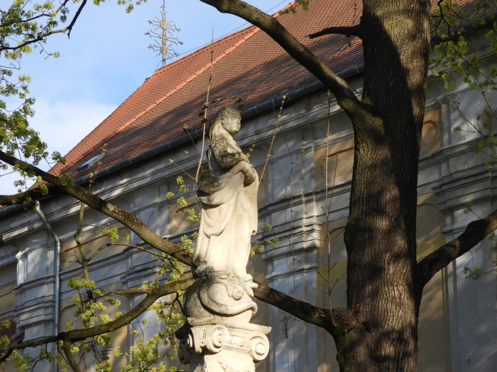 407_Nagypentek-Tamasi-2022-010