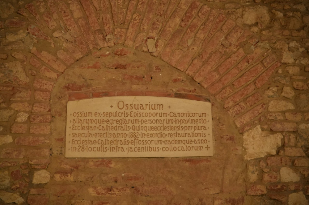 588_Elhunyt-puspokok-2023-17