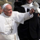 5c5f40ecb0b8a0bf2c091f3d30a0c1bd_w135_h135_cp