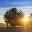 6084db425025f541a51ab2f43ee14842_w135_h135_cp