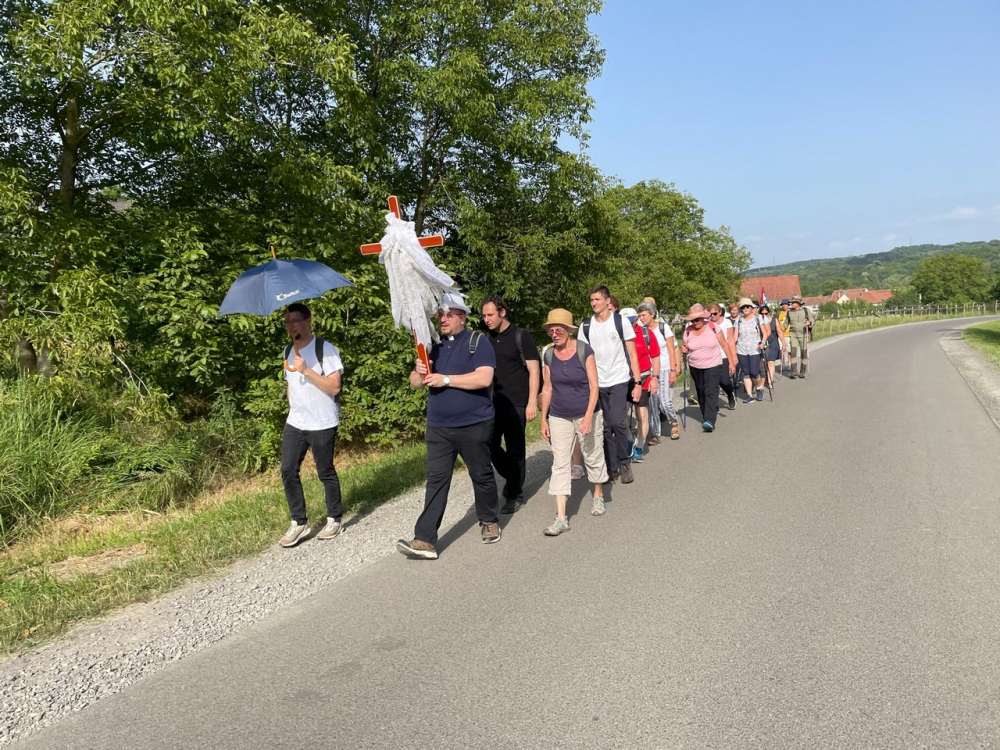 637_Gyalog-papokert-07