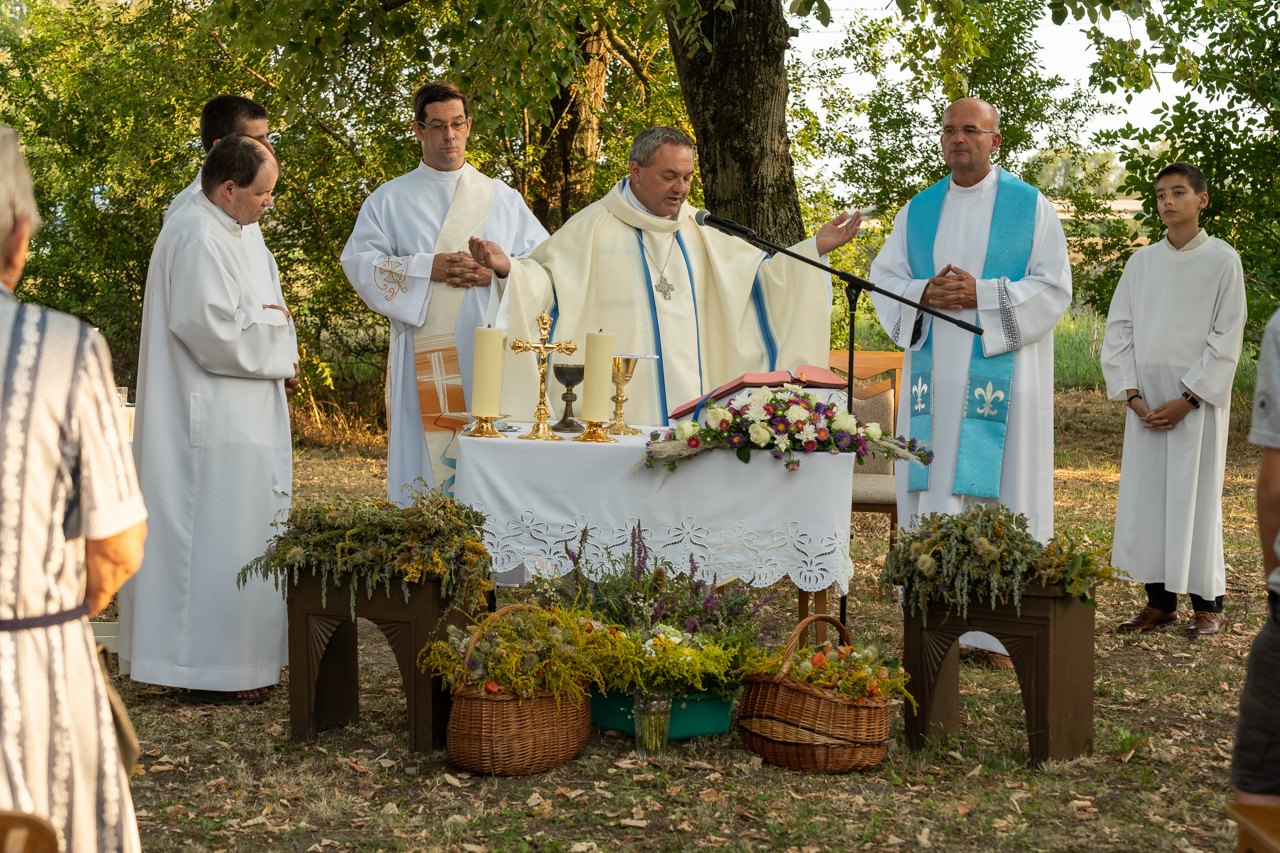 2024_08_15_borjad_47