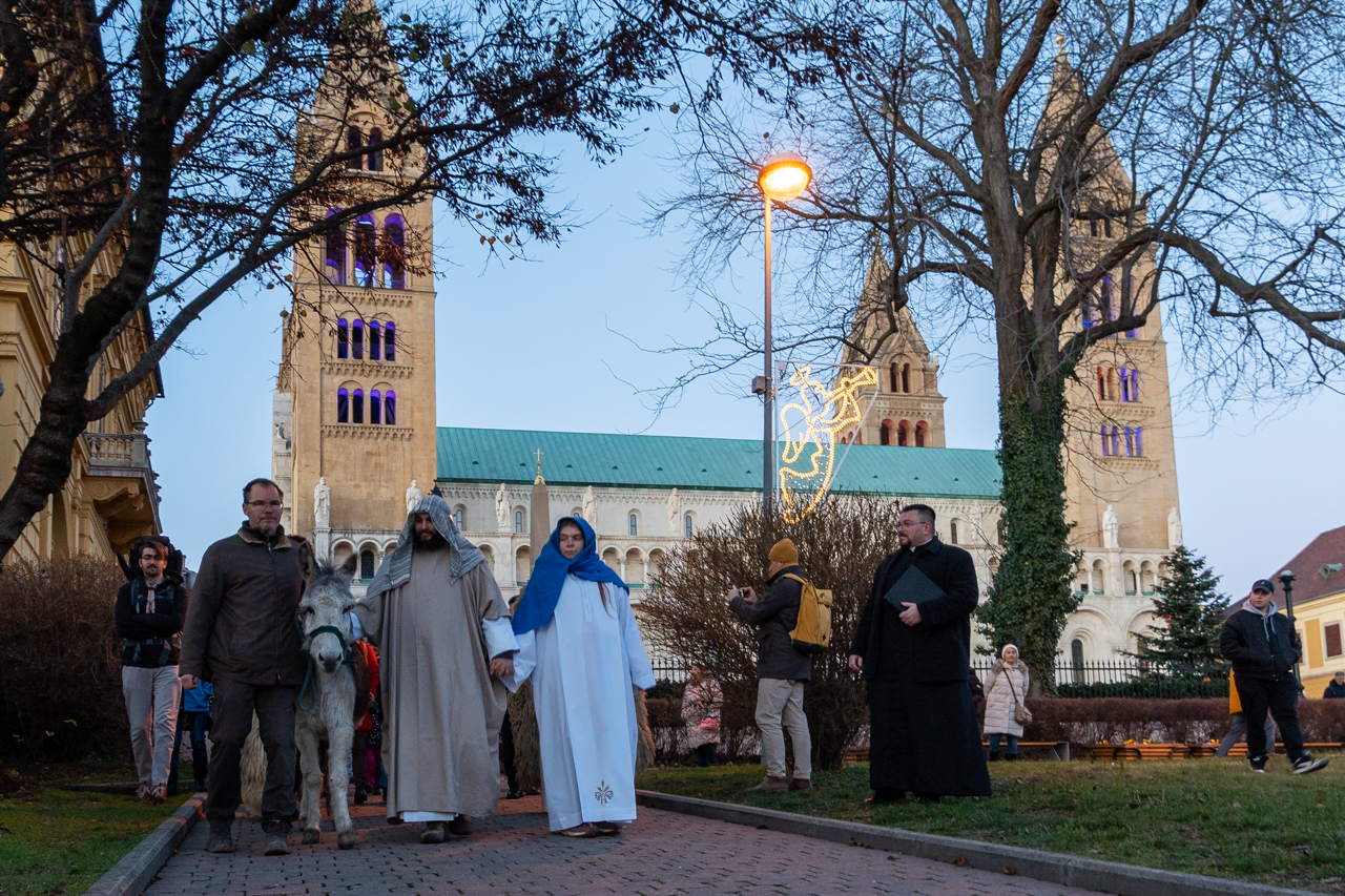 2024_12_21_szallast_keres_27