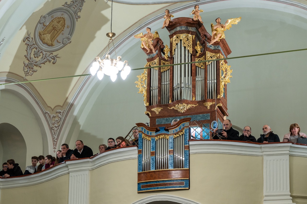 imgi_2_2024_01_31_tamasi_22