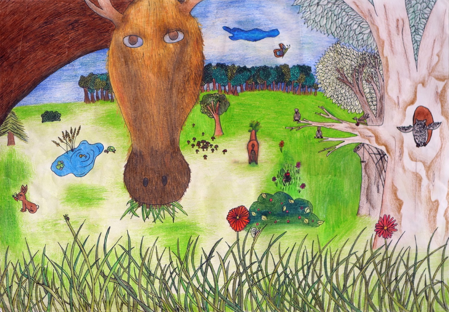 Kriszt_Nóra_7_o__2021__Nagy