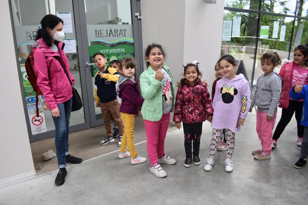 állatkert_3_Egyedi