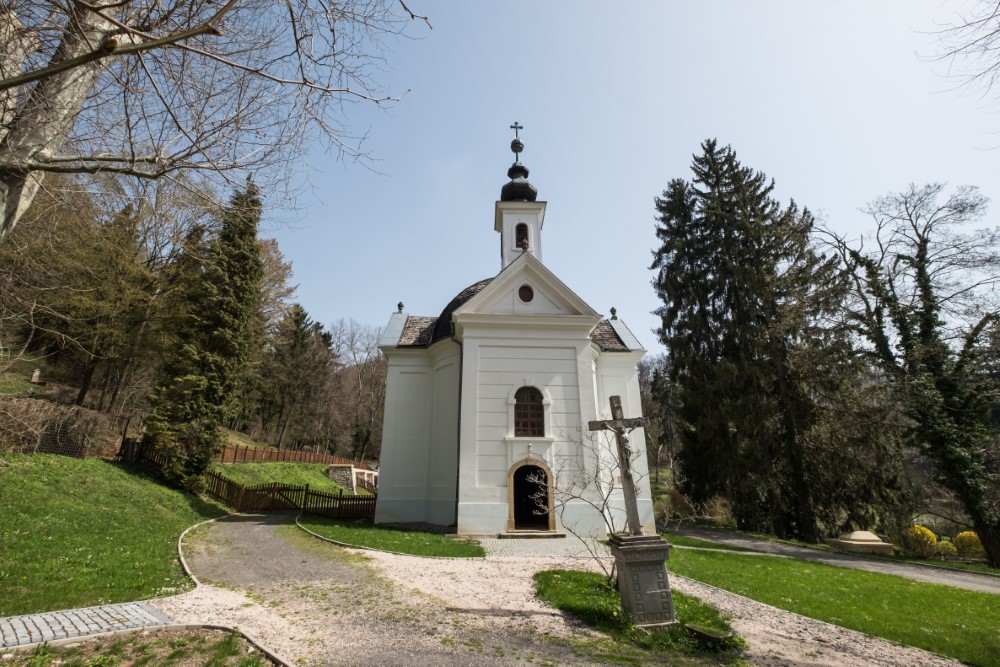 pszentlaszlo_arboretum-20180412-141_Egyedi (1)