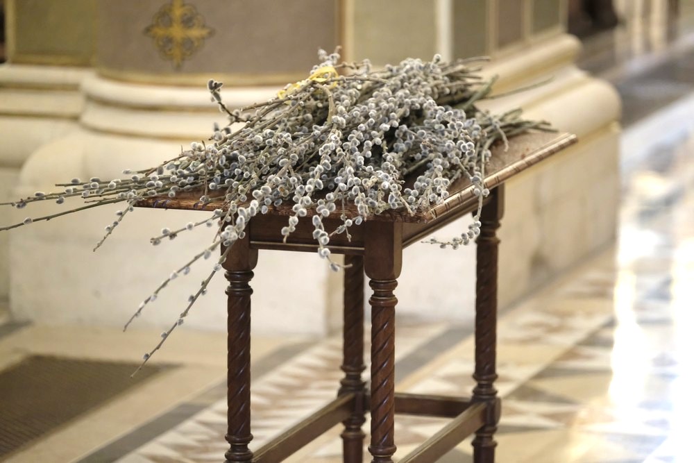 304_Viragvasarnap-szentmise-2022-098