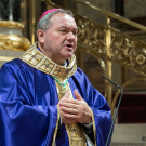 6026ffe7c4117d25bd14ee306cc13510_w135_h135_cp