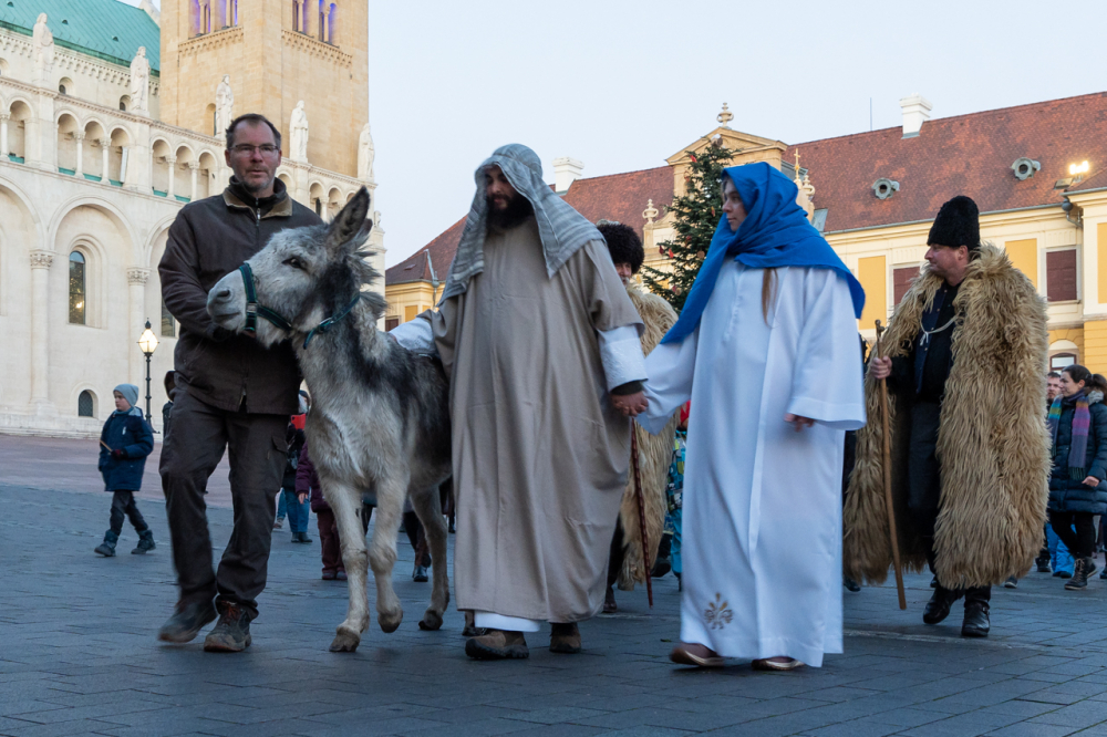 868_2024_12_21_szallast_keres_26-2