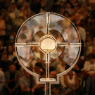 9d4d937b63355a5b688036a6282a8005_w135_h135_cp