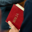 b22d0fb901a6880ca90194f144ac25df_w135_h135_cp