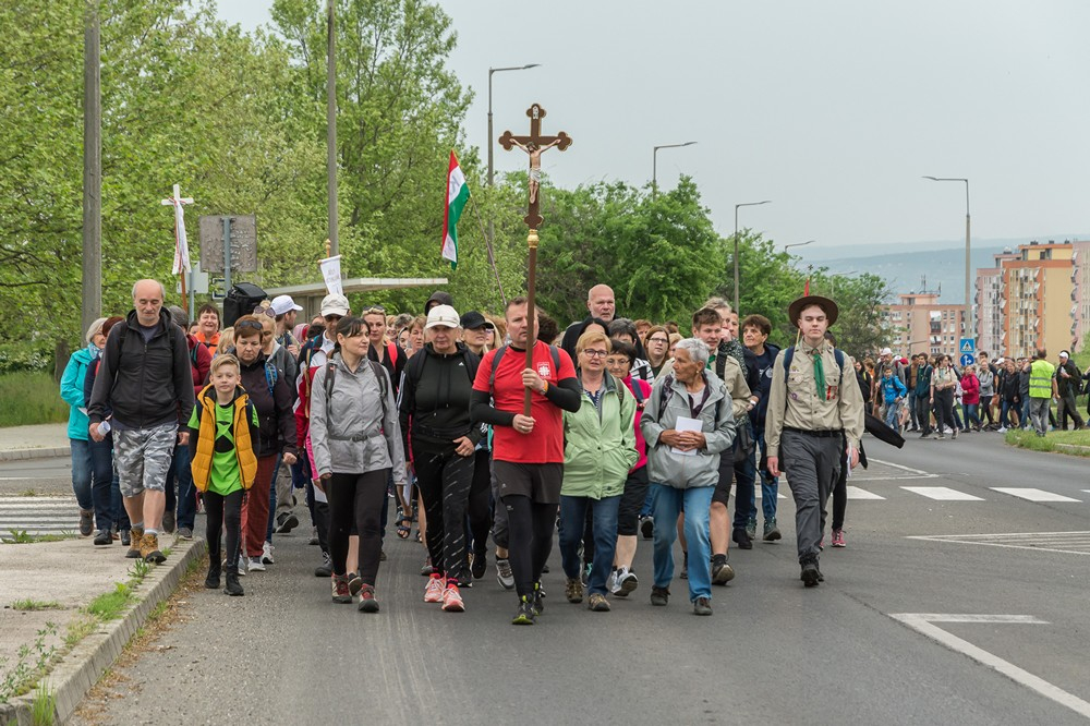 323_mgyz-2022-gi-007