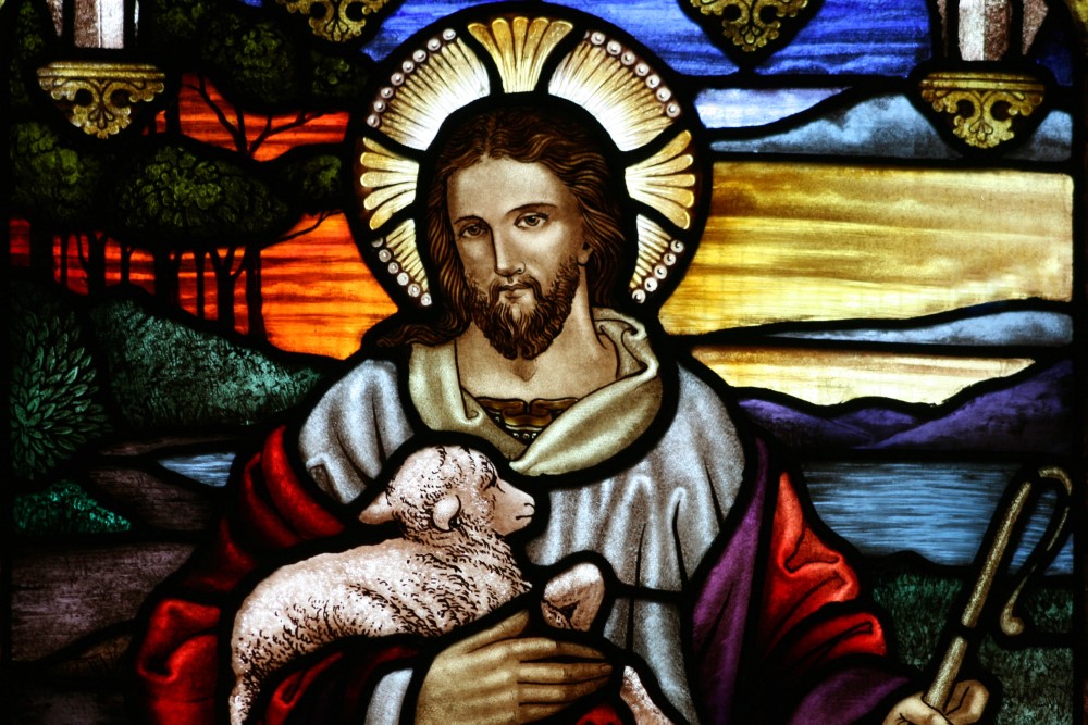 AF49F5C3-A3DA-4743-8744-E7C692261ABE