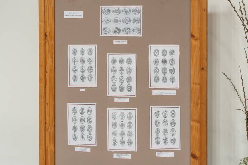 imageye___-_imgi_11_thumb_832_2024_09_14_bata_15