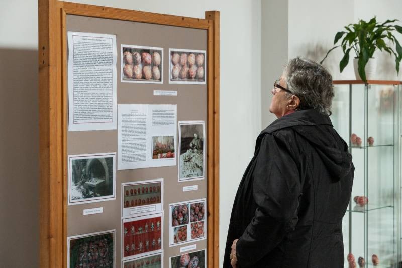 imageye___-_imgi_16_thumb_832_2024_09_14_bata_22