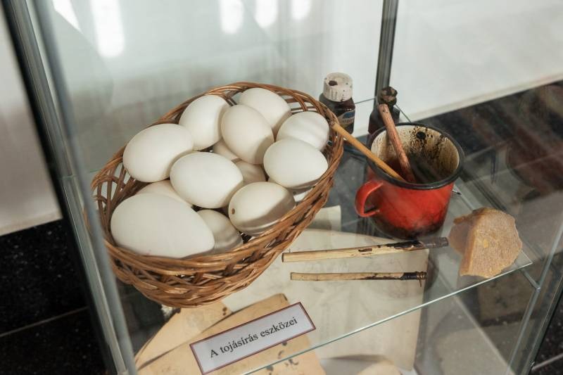 imageye___-_imgi_17_thumb_832_2024_09_14_bata_23