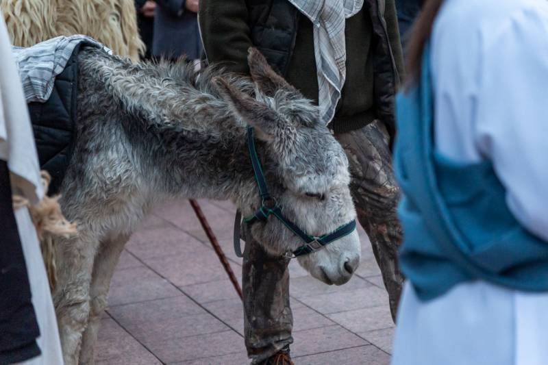 imageye___-_imgi_18_thumb_732_2023_12_23_szallast keres_18