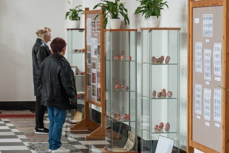 imageye___-_imgi_20_thumb_832_2024_09_14_bata_32