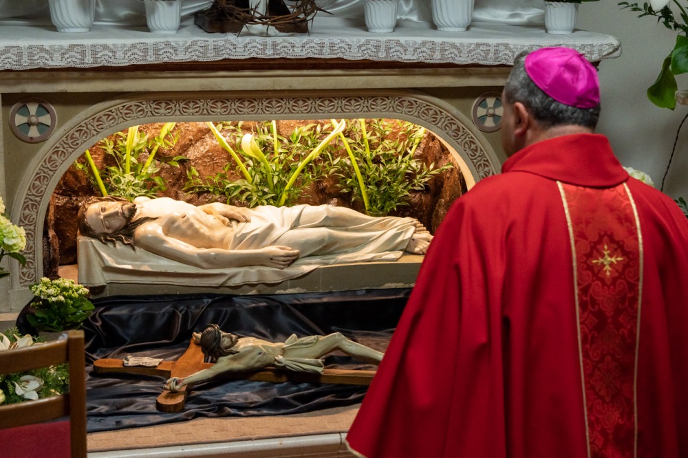 imgi_59_907_2025_04_18_dobrokoz_36